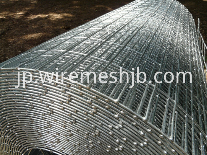 Galvanized Welded Wire Fence